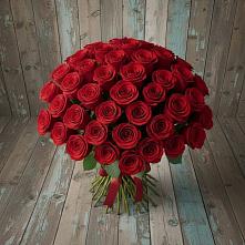 Букет 55 Красных роз Фридом #REPLACE_PRED# Акатьево