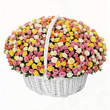 Премиум букет из: Розы в Акатьево