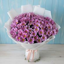 Букет цветов из:  Хризантемы в Акатьево