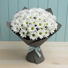 Букет цветов из:  Хризантемы в Акатьево