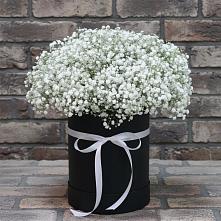 Цветочная композиция из Гипсофила в шляпной коробке в Акатьево