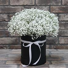 Цветочная композиция из Гипсофила в шляпной коробке в Акатьево